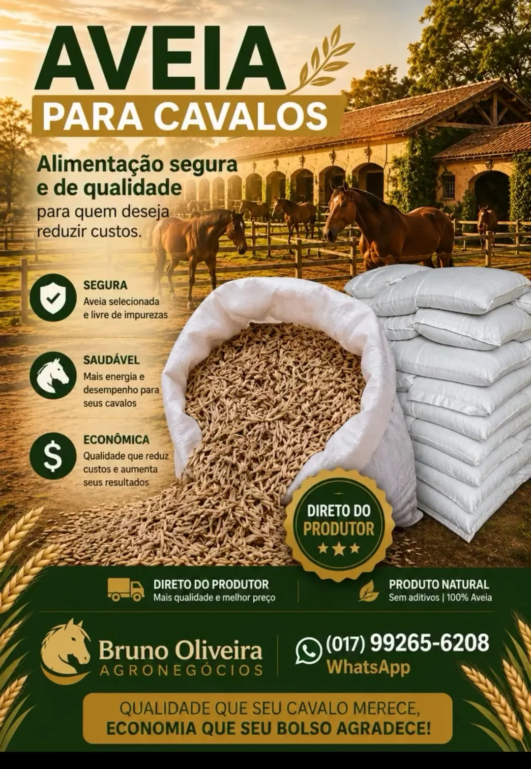Aveia para cavalos 30kg